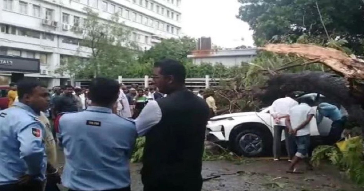 পশ্চিমবঙ্গে প্রবল ঝড়ে, প্রাণ গেল সাতজনের