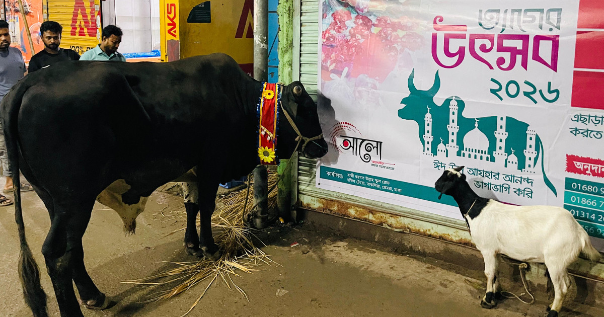 আলো স্বেচ্ছাসেবী সংগঠনের উদ্যোগে ‘ত্যাগের উৎসব-২০২৬’ অনুষ্ঠিত