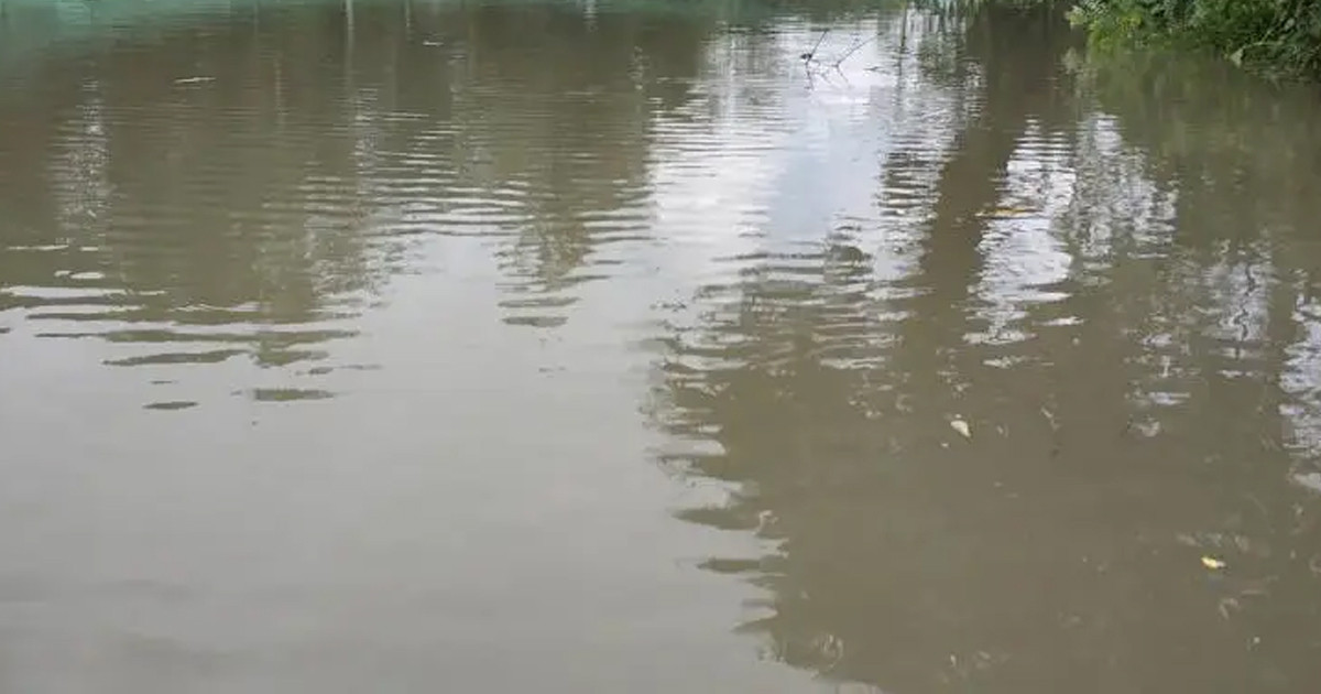 সারাদিন খোঁজাখুঁজি, রাতে পুকুরে ভেসে উঠলো ভাই-বোনের মরদেহ