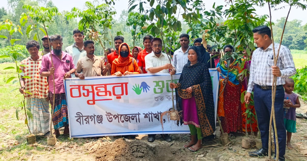 বীরগঞ্জে ক্ষুদ্র নৃ-গোষ্ঠীর মাঝে গাছের  চারা বিতরণ করেছে বসুন্ধরা শুভসংঘ