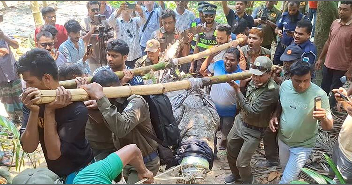 সরানো হলো খানজাহান আলীর মাজারের দিঘির কুমিরটি