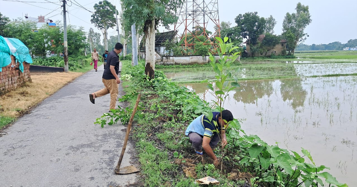 বিশ্ব পরিবেশ দিবস উপলক্ষে বসুন্ধরা শুভসংঘের গাছের চারা বিতরণ