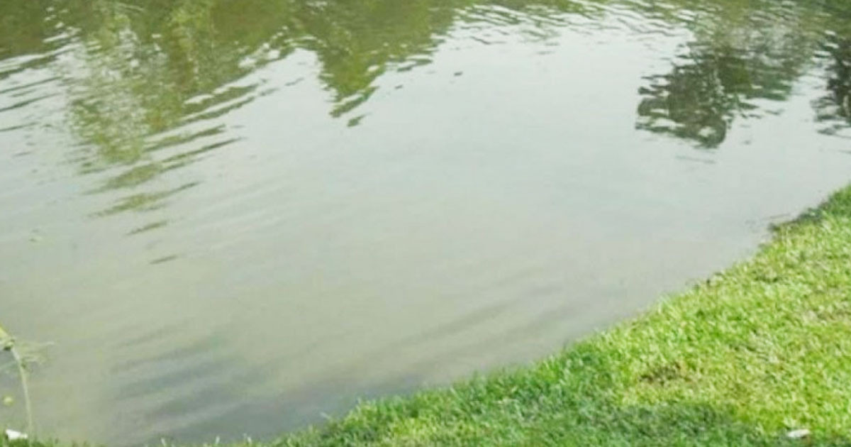বরিশালে পুকুরের ডুবে প্রাণ গেল শিশুর