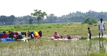 ৩ দিনেও পুশইন করতে না পেরে ১০ জনকে ফিরিয়ে নিল বিএসএফ