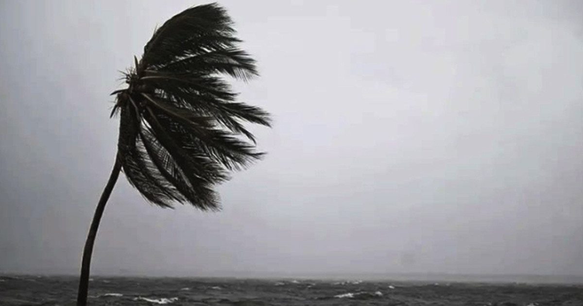 ১৬ জেলায় দমকা হাওয়াসহ বৃষ্টির আভাস