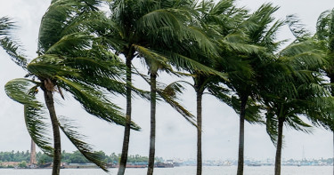 দুপুরের মধ্যে ১২ জেলায় ঝড়-বৃষ্টির আভাস
