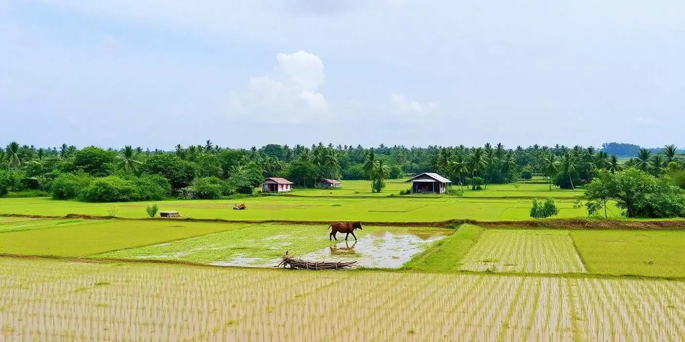 ইসলামের দৃষ্টিতে প্রচলিত জমি বন্ধক (কট) ব্যবস্থা
