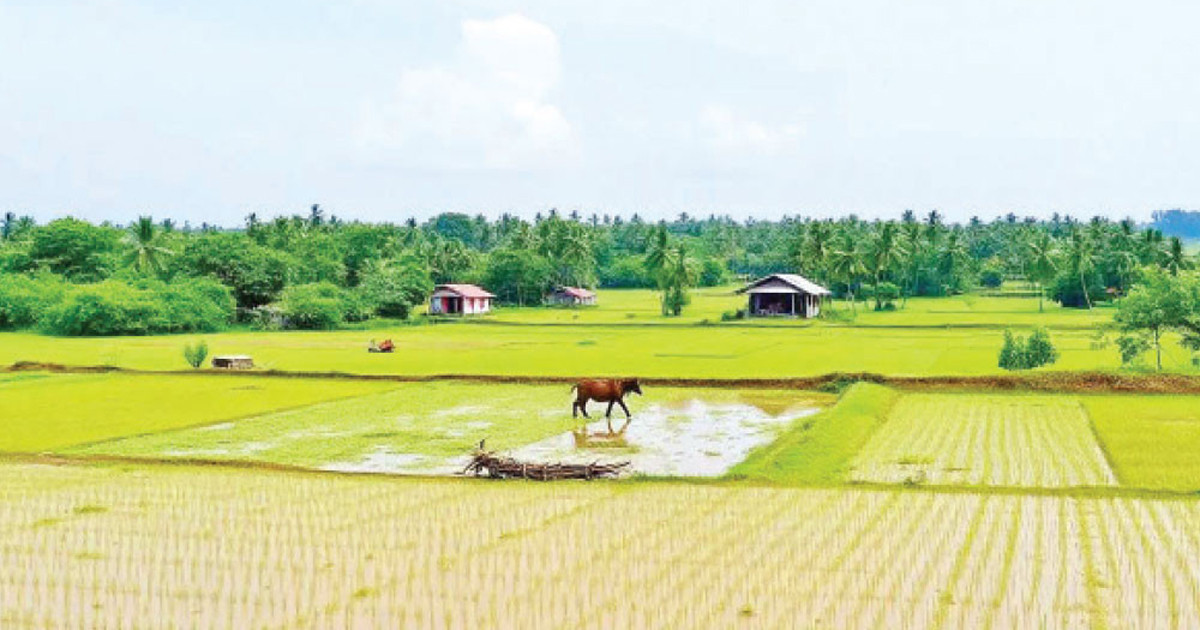 ইসলামের দৃষ্টিতে প্রচলিত জমি বন্ধক (কট) ব্যবস্থা