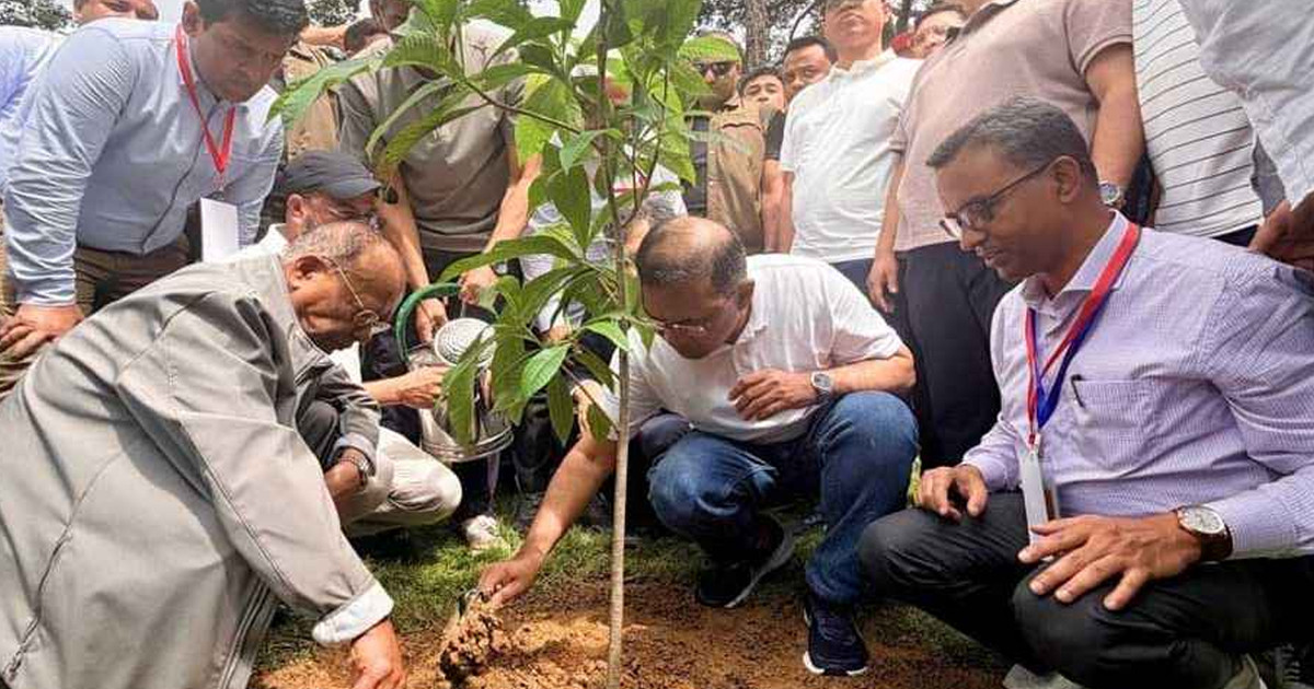 ২৫ কোটি বৃক্ষরোপণ কর্মসূচির উদ্বোধন করলেন প্রধানমন্ত্রী