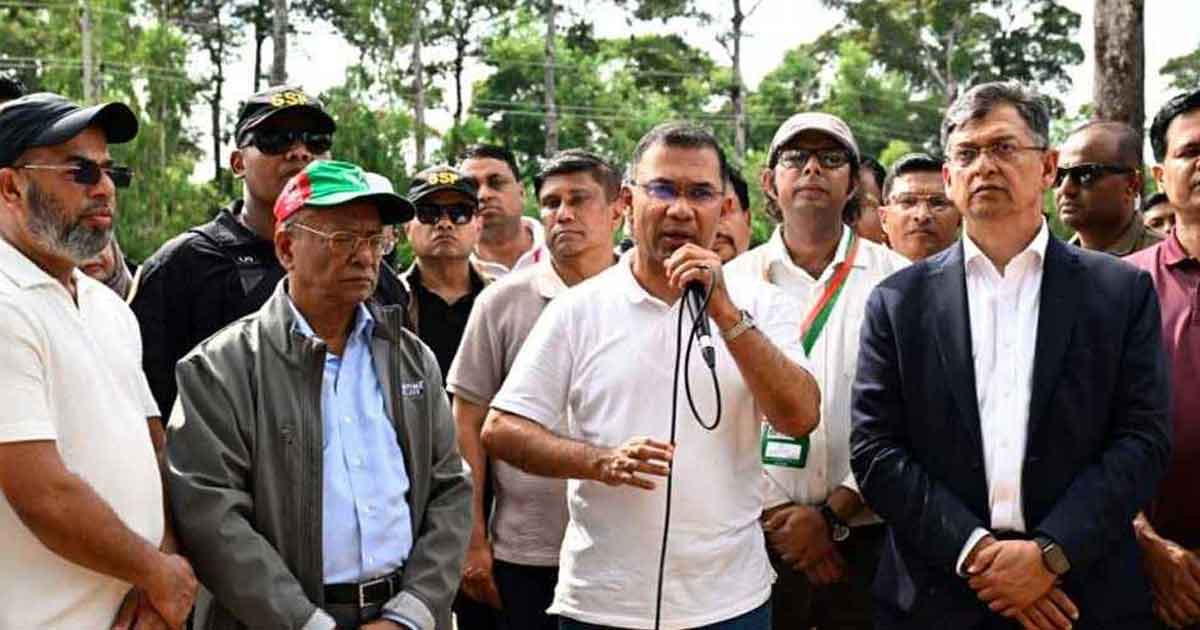 সন্তানের ভবিষ্যতের কথা ভেবে একটি করে গাছ লাগান: প্রধানমন্ত্রী