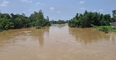 শেরপুরের বিপৎসীমার ওপরে তিন নদীর পানি