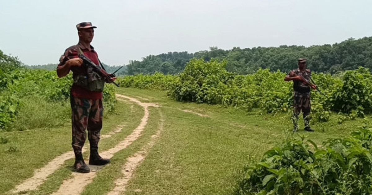 দর্শনা সীমান্তে ১১ জনকে পুশ ইনের চেষ্টা বিএসএফের, সতর্ক অবস্থানে বিজিবি