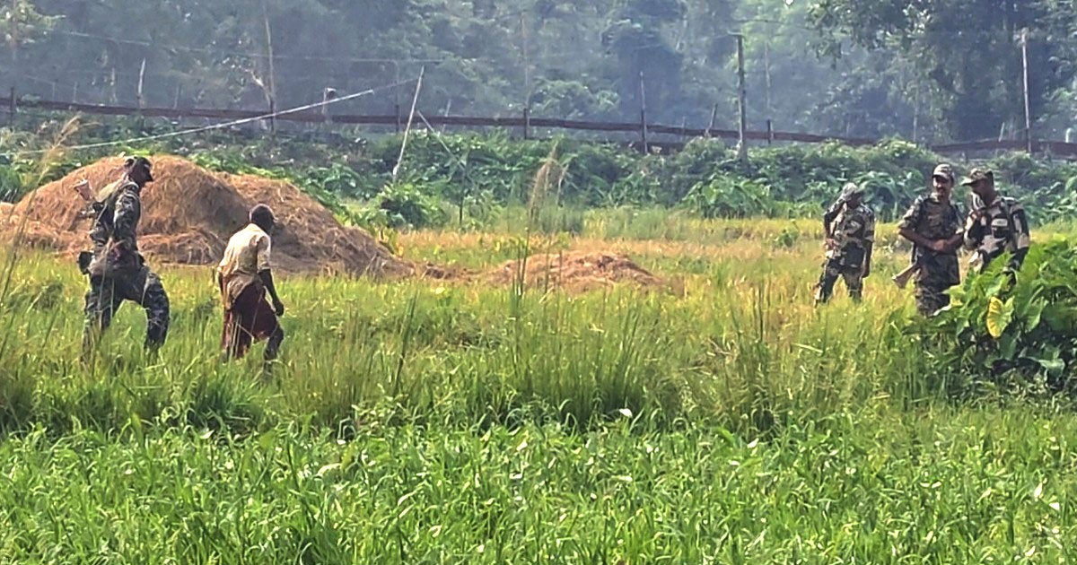 পুশ ইন করা সেই বৃদ্ধকে ভারতে নিয়ে গেছে বিএসএফ