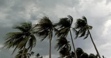 দেশের ৩ অঞ্চলে ৬০ কিমি বেগে ঝড়ের শঙ্কা