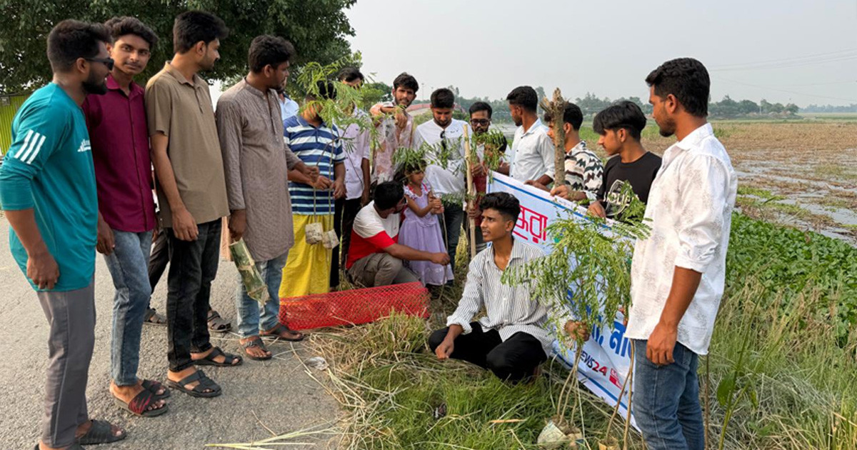 চলনবিলে বসুন্ধরা শুভসংঘের কৃষ্ণচূড়া গাছ রোপণ