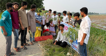 চলনবিলে বসুন্ধরা শুভসংঘের কৃষ্ণচূড়া গাছ রোপণ