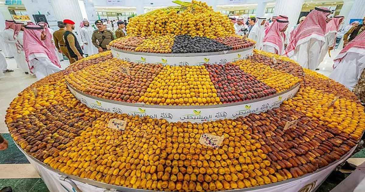 মদিনায় শুরু হলো বহুল প্রতীক্ষিত খেজুরের মৌসুম