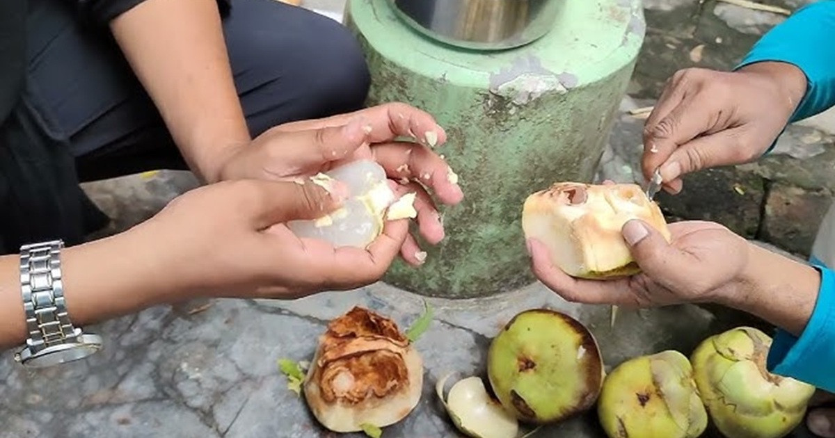 তালের শাঁসের উপকারিতা জানলে অবাক হবেন!
