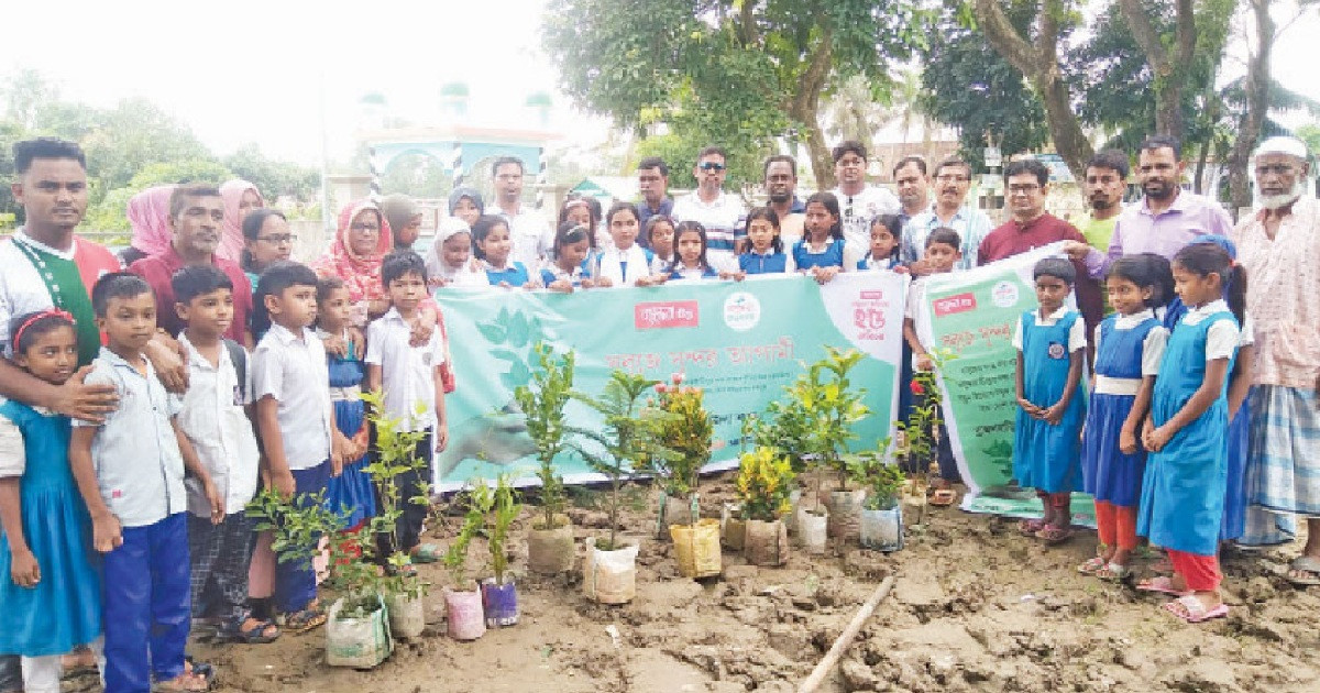 সবুজ বাংলাদেশ গড়ার স্বপ্ন