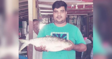 মনপুরার মেঘনায় ধরা পড়ল তিন কেজির ‘রাজা ইলিশ’
