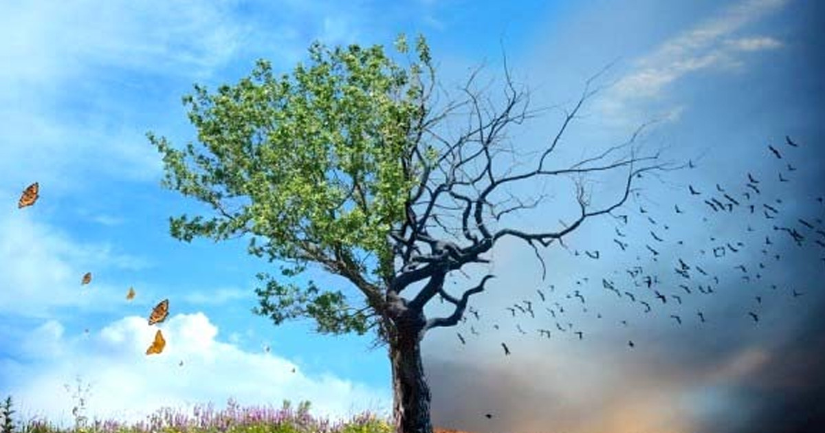 অজ্ঞতা ঈমানি দুর্বলতার অন্যতম কারণ