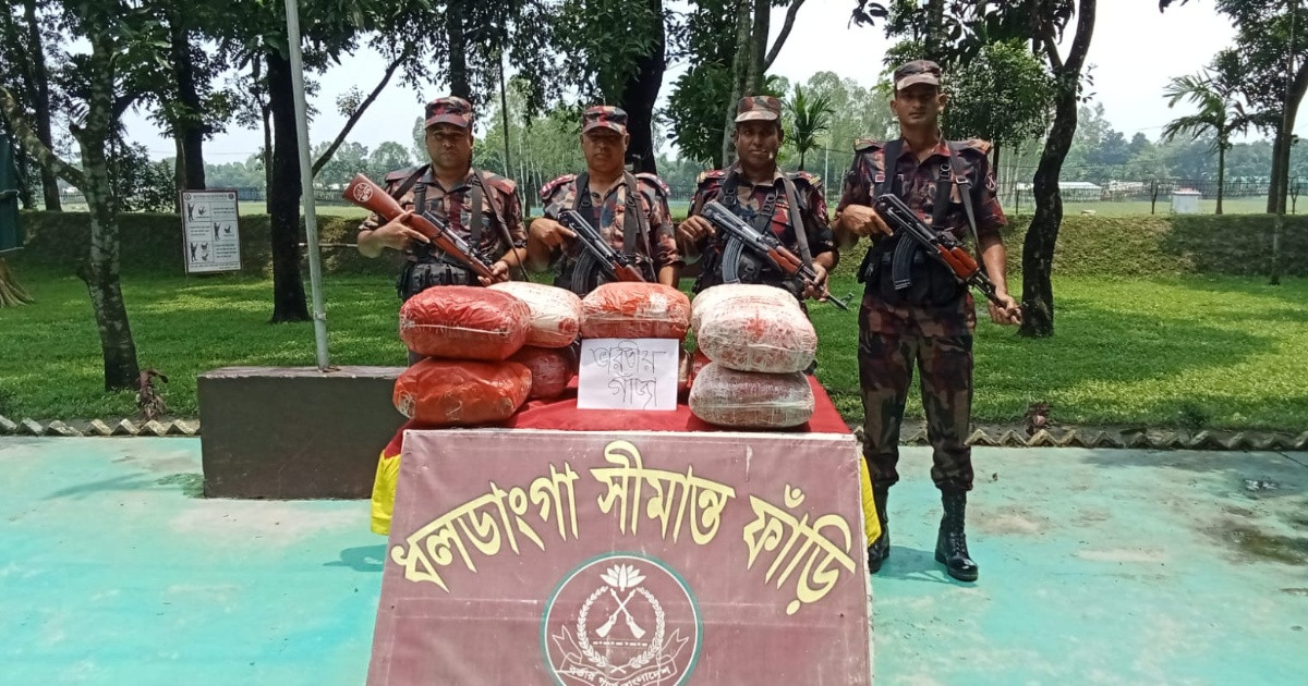 কুড়িগ্রাম সীমান্তে ৫৩ কেজি ভারতীয় গাঁজা জব্দ
