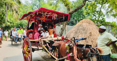 ১২ বছর পর নাতির জন্ম, আনন্দে ঘোড়ার গাড়িতে গ্রামে নানার মিষ্টি বিতরণ