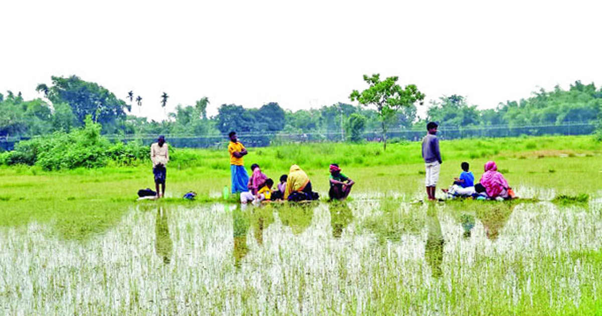 থামছেই না পুশইন