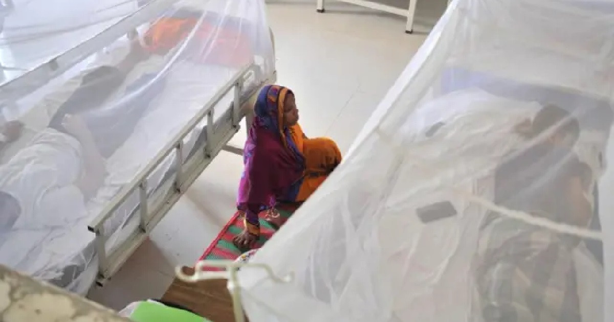 দেশে বাড়ছে ডেঙ্গুর প্রকোপ