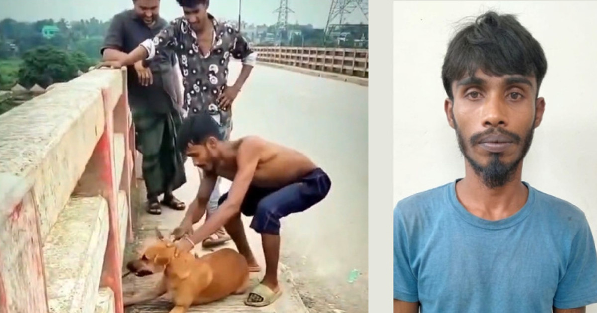 কুকুরের গলায় ইট বেঁধে নদীতে নিক্ষেপ, ভিডিও ভাইরালের পর তরুণ আটক