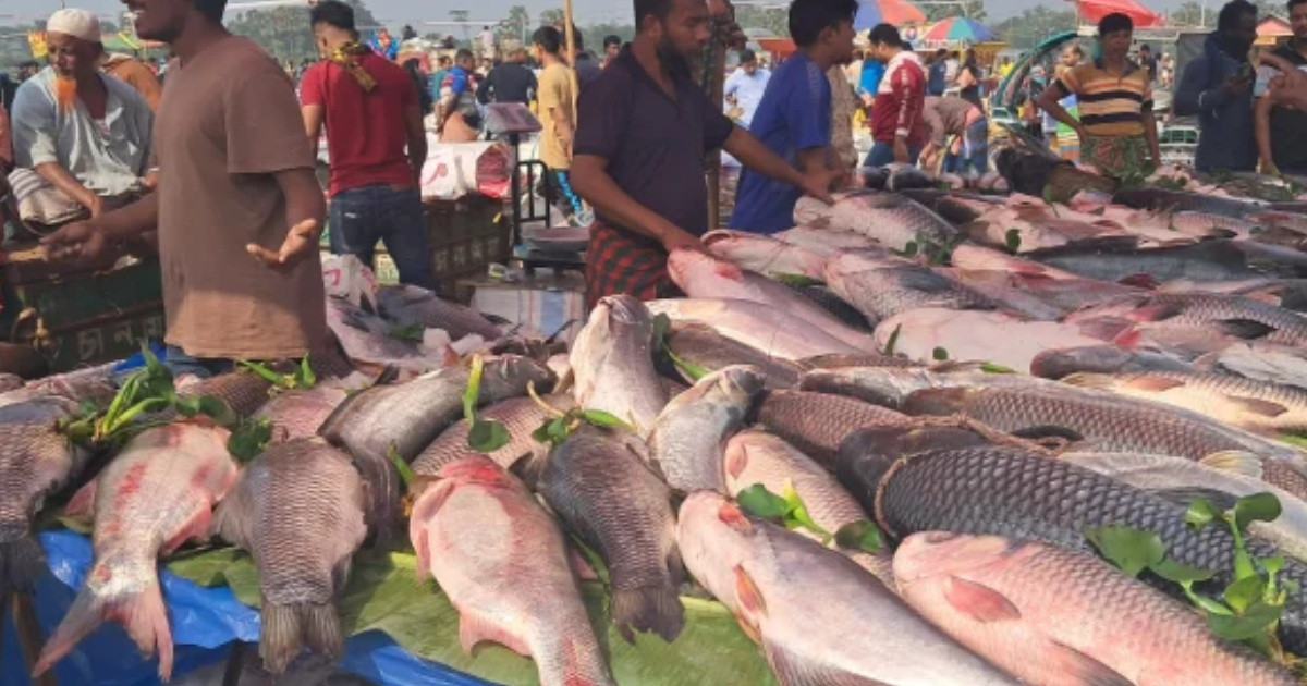 মাছ চাষে বিশ্বসেরা পাঁচে বাংলাদেশ
