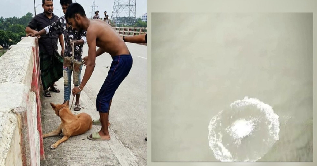 কুকুরের গলায় ইট বেঁধে নদীতে ফেলে দেওয়ার মামলায় আরও দুজন গ্রেপ্তার