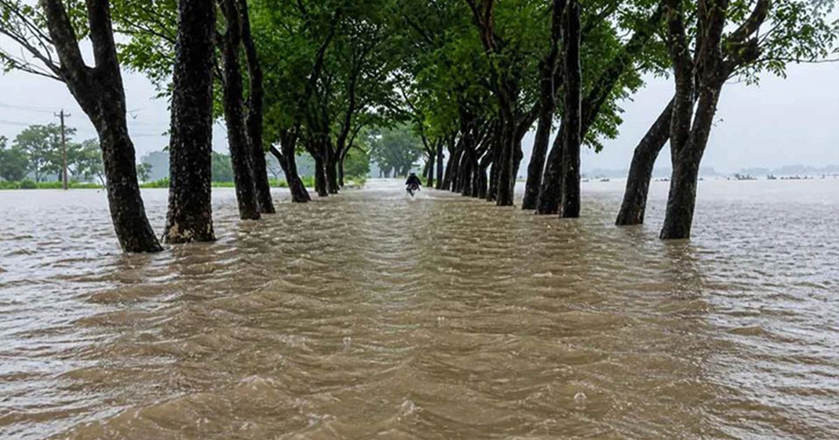 উজানের বৃষ্টিতে বাড়ছে নদীর পানি, প্লাবনের ঝুঁকিতে উত্তরাঞ্চল