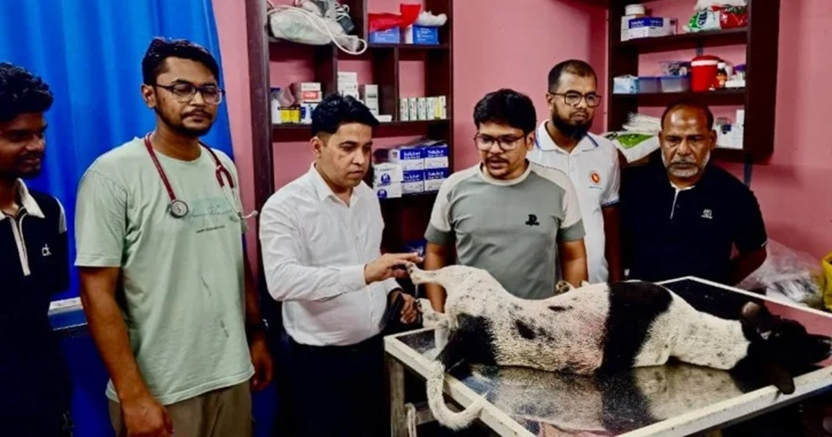 কুকুরের প্রতি নিষ্ঠুরতা, প্রধানমন্ত্রীর নির্দেশে গ্রেপ্তার ১