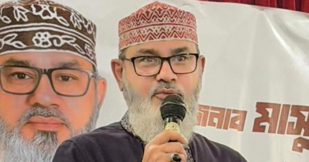 জুলাই আমাদের গণতান্ত্রিক আকাঙ্ক্ষা, আত্মত্যাগ ও নতুন বাংলাদেশ গড়ার শপথের মাস: এমপি মাসুদ সাঈদী