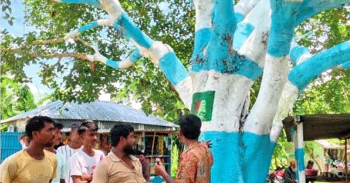 আর্জেন্টিনার পতাকার আদলে গাছ রাঙালেন ভক্ত