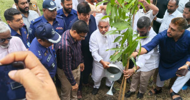 এই গাছ আমাদের অক্সিজেন দিবে, জীবন বাঁচাবে ও দেশ বাঁচাবে: মান্নান