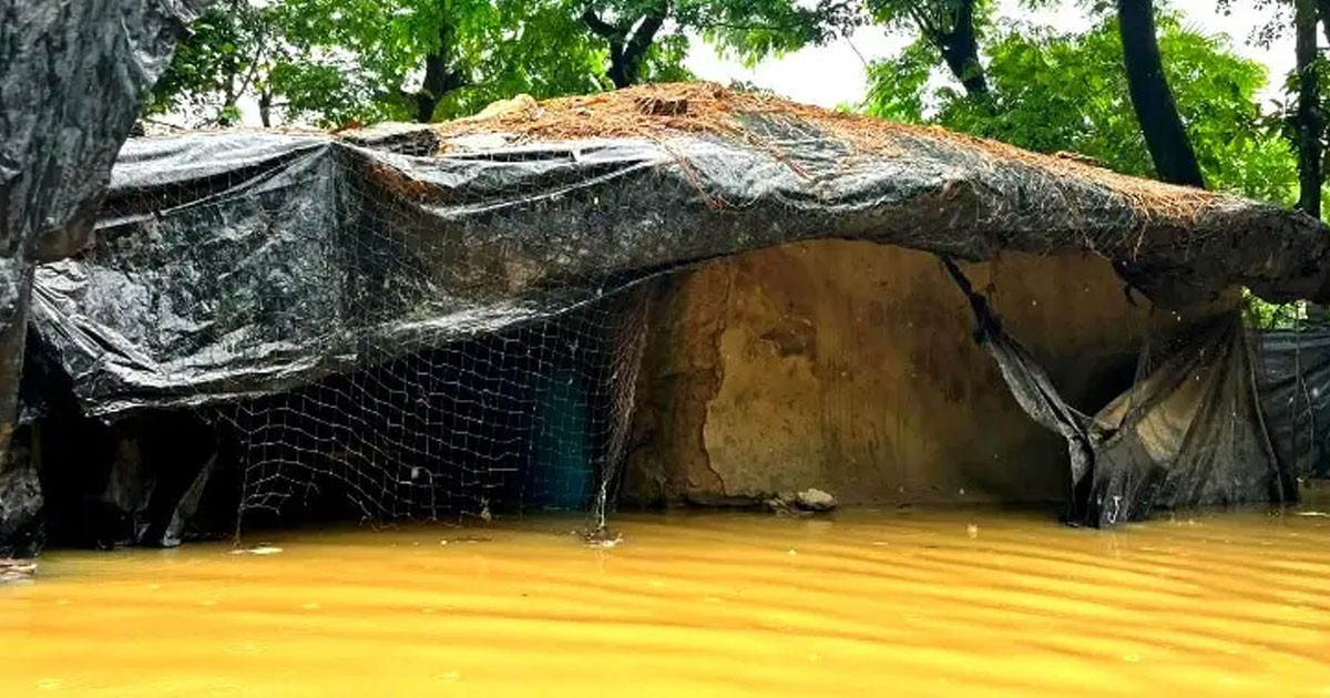 বন্যার মধ্যে সাপের কামড়ে আহত ৭৫ জন