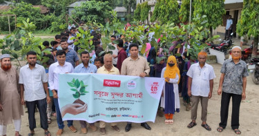 রাজিবপুরে বসুন্ধরা টিস্যু ও শুভসংঘের বৃক্ষরোপণ ও চারা বিতরণ