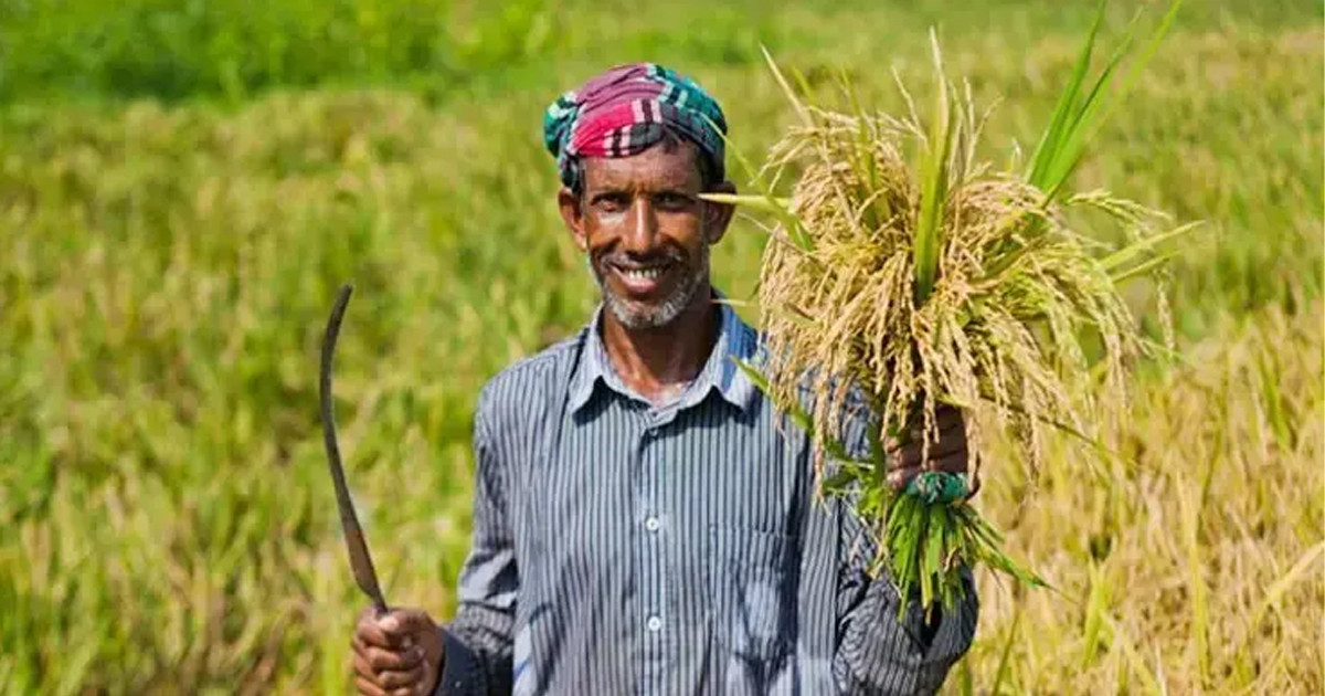 কৃষক কার্ডের তথ্য সংগ্রহ কার্যক্রম শুরু