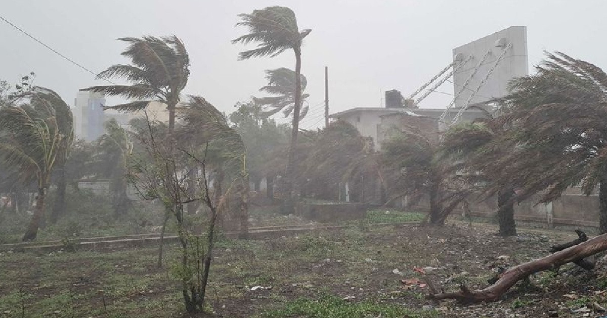 সন্ধ্যার মধ্যে যেসব জেলায় ধেয়ে আসছে ঝড়