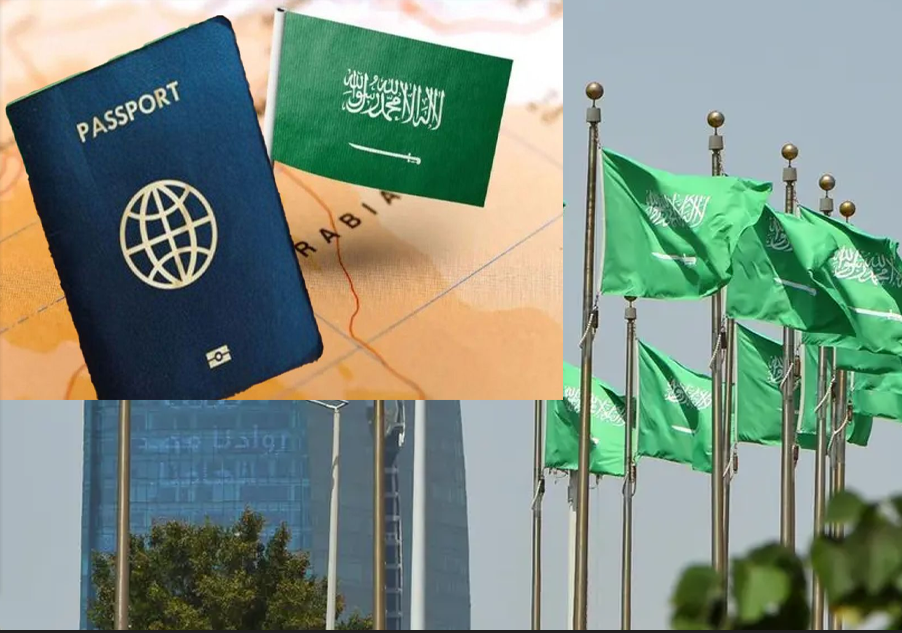 নতুন ক্যাটাগরির ভিসা চালু করল সৌদি আরব