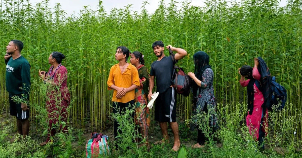 কুষ্টিয়া সীমান্তে পুশইনের চেষ্টা প্রতিহত করল বিজিবি