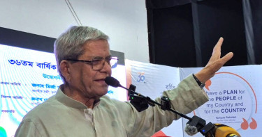 রাষ্ট্রপতি পদে দলীয় নাকি বাইরের প্রার্থী, সিদ্ধান্ত বিএনপির বৈঠকে: মির্জা ফখরুল