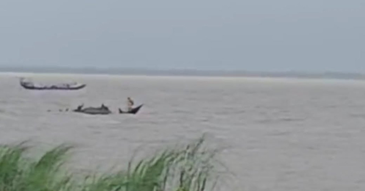 রাজশাহীতে পদ্মায় নৌকাডুবিতে ২ জন নিখোঁজ