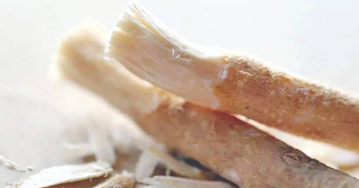 মেসওয়াক হোক আমাদের নতুন প্রত্যাবর্তন