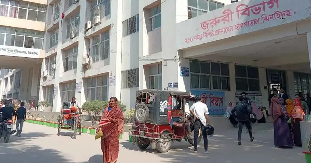 রাইস কুকারে ভাত রান্নার সময় বিদ্যুৎস্পৃষ্ট, ঝিনাইদহে গৃহবধূর মৃত্যু