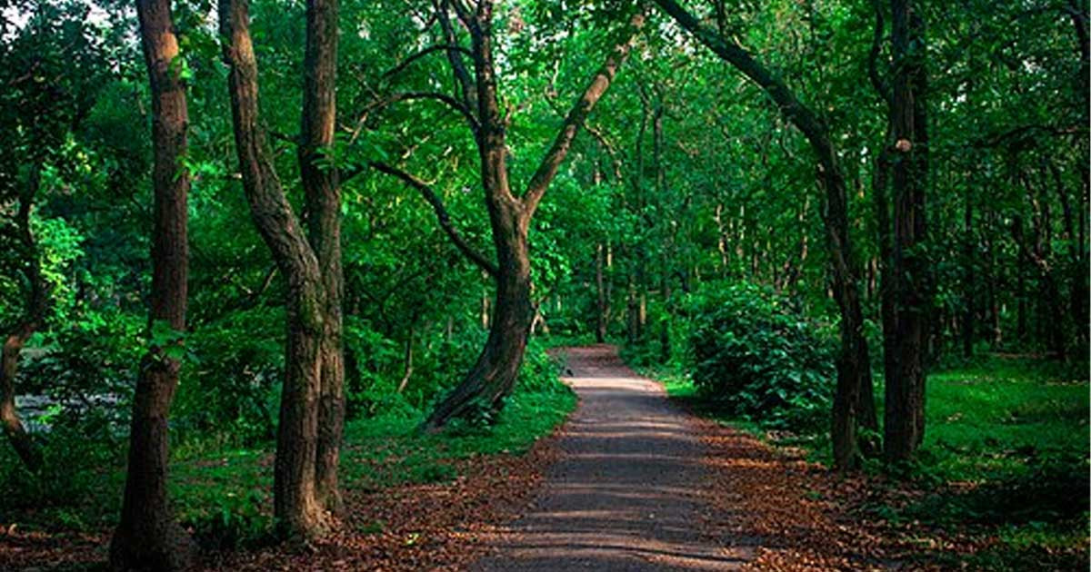 মধুপুর গড়ের ‘আচিক’ ভাষা রক্ষার দাবি