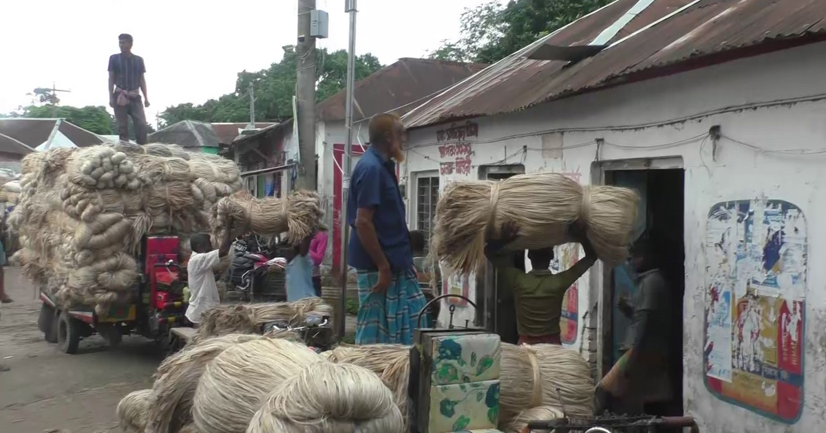 নড়াইলে পাটের নিম্মমুখী দরে হতাশ চাষি