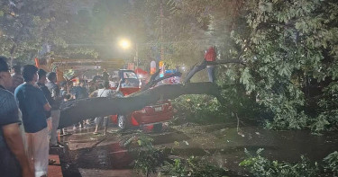 বৃষ্টির মধ্যে ধানমণ্ডিতে গাড়ির ওপর আছড়ে পড়ল গাছ